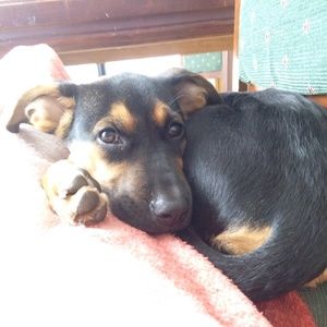 Meet your Posher, Valery